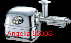 Angelia 8500S